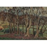•VLADIMIR POLUNIN (1880-1957) View of trees
