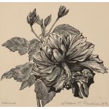 •WILLIAM T RAWLINSON (1912-1993) A set of five botanical woodcuts
