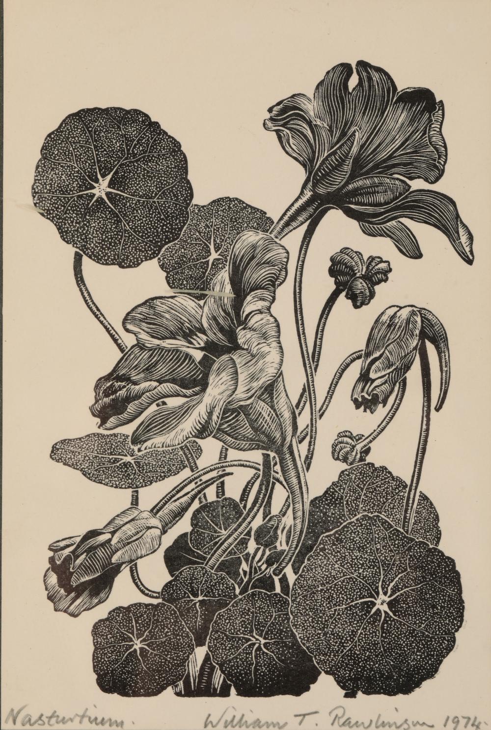 •WILLIAM T RAWLINSON (1912-1993) A set of five botanical woodcuts - Image 2 of 5