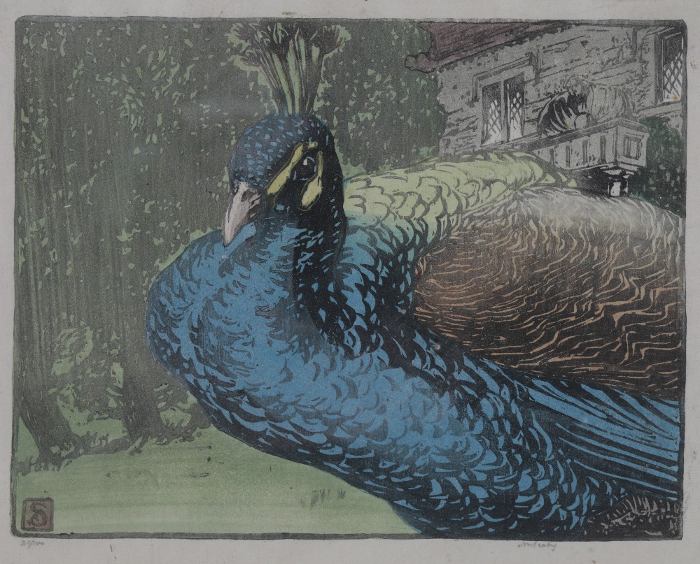 *ALLEN WILLIAM SEABY (1867-1953) 'The Peacock'