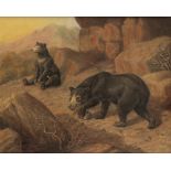 ATTRIBUTED TO HERBERT ATKINSON (1863-1936) A study of two bears in a landscape