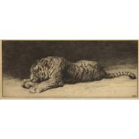 HERBERT DICKSEE (1862-1942) 'Tiger Gnawing on a Bone'