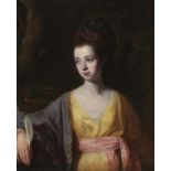 DAVID MARTIN (1737-1798) A portrait of a lady