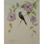 *AFTER IRIS DARNTON (1927 - 2017), A SET OF FIVE PRINTS OF SUNBIRDS AMONGST FLOWERS