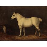 ENGLISH SCHOOL, 19TH/20TH CENTURY A portrait of a horse in stable