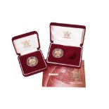 AN ELIZABETH II 2002 GOLD HALF SOVEREIGN