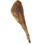 A WAX MODEL OF A HANGING LEG OF LAMB,