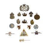 A COLLECTION OF VARIOUS MILITARY BADGES AND TIE PINS