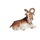 A LIFE SIZE MEISSEN" MODEL OF A BILLY GOAT"