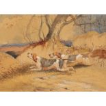 H. BARROW (19th/20th century) 'Rough Beagles'