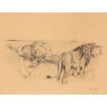 ARTHUR WARDLE (1864-1949) A study of lions