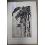 GEORGE EDWARD COLLINS 1880-1968, 'WOODLAND' etching monogrammed within the plate line and signed to