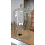 A VINTAGE GLASS SCIENTIFIC BELL JAR, with ground base rim, 39cm high