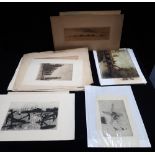 WILL PYE: A collection of unframed watercolours