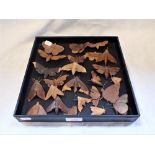 A COLLECTION OF HANDMADE CARVED WOODEN MOTHS