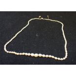 A SINGLE STRAND SEED PEARL NECKLACE