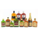 Eleven bottles of French brandy and rum including Hennessey Cognac, Navy Rum and French brandy : For