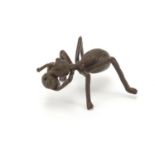 Japanese patinated bronze ant, impressed marks to the underside, 5cm in length : For Further