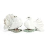 Two Rosenthal porcelain birds, the largest 17cm in length : For Further Condition Reports Please