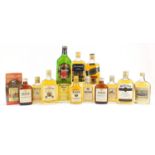 Fourteen bottles of mostly vintage whisky including Glenfiddich, Teachers, Haig, Bells and Johnny