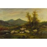 Sheep in a landscape, 19th century Scottish school oil on canvas, mounted and framed, 76cm x