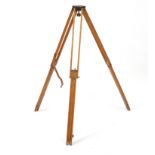 Folding Edwardian oak camera stand : For Further Condition Reports Please Visit Our Website, Updated