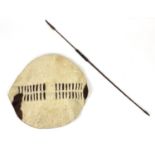 Zulu cattle hide war shield and a spear, the shield 70cm diameter : For Further Condition Reports