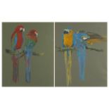 Kristin Rosenberg - Parrots, pair of heightened watercolour, mounted and framed, each 40cm x 31.