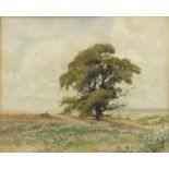 Cyril Boler - Kent landscape, watercolour inscribed verso, mounted and framed, 40cm x 33cm :For