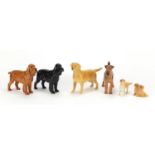 Six Beswick and Royal Doulton dogs including Wire haired Terrier and Labrador, the largest 14cm high
