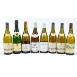 Eight bottles of white wine including three bottles of Fouassier Pouilly Fume, 1994 Les Domaines