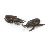 Two Japanese patinated bronze beetles, impressed marks to the undersides, the largest 8.5cm in