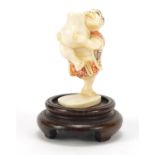 Japanese carved ivory Netsuke of a man holding a vessel, raised on a hardwood stand, character marks