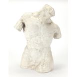 Modernist plaster torso, 40cm high :For Further Condition Reports Please visit Our Website,
