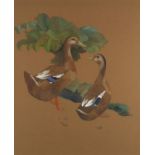 Kristin Rosenberg - Two ducks, heightened watercolour, mounted and framed, 53cm x 43cm :For