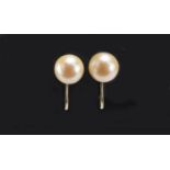 Pair of 9ct gold screw back pearl earrings, 2.2g :For Further Condition Reports Please visit Our