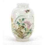 Chinese porcelain vase, finely hand painted with famille rose palette with butterfly amongst