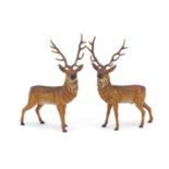 Pair of cold painted spelter stags, each 20cm high :For Further Condition Reports Please visit Our