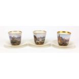 Three 19th Century continental porcelain cabinet cups and saucers, each cup finely hand painted with