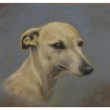 W A Crocker - Dogs head, pastel, mounted and framed, 31cm x 29cm : For Further Condition Reports