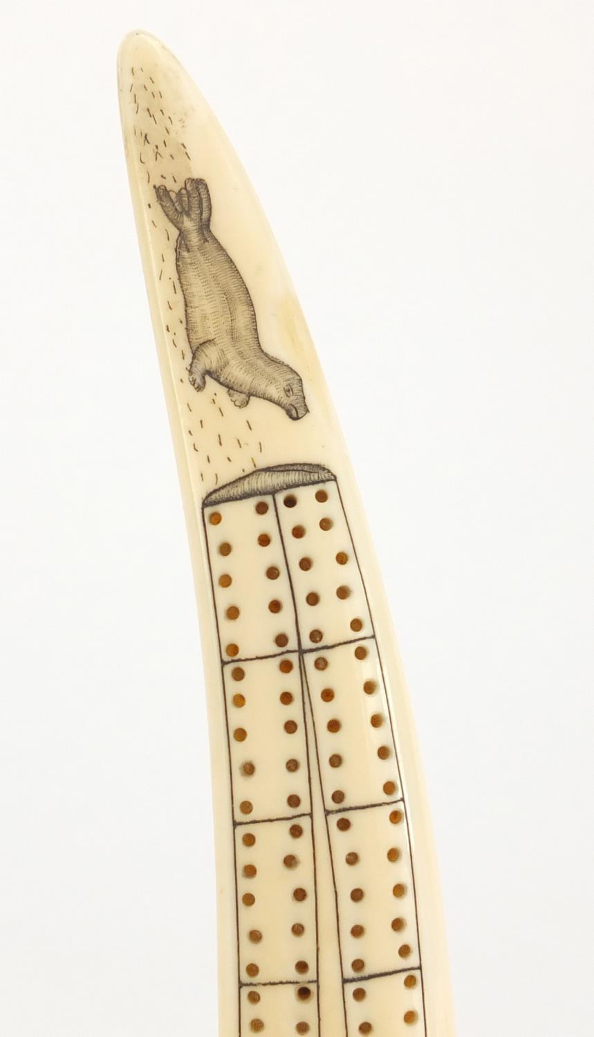 Scrimshaw style cribbage board, 24 cm in length : For Further Condition Reports Please visit Our - Image 5 of 7