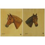 Two horse heads, Jackie and Senator, pair of watercolours, framed, each 35.5cm x 29.5cm :For Further