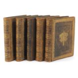 Picturesque Europe, set of five leather bound hardback books, volumes I, II, III, IV and V with