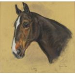 Marjorie Cox 1969 - Lita, Horse Head, pastel, Regent Gallery label verso, framed, 49cm x 46cm :For