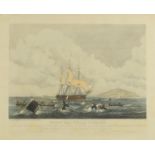 After W J Huggins - South Sea Whale Fishery, early 19th century coloured engraving, engraved by T