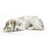 Lladro Bloodhound, Old Dog, 25cm wide :For Further Condition Reports Please Visit Our Website,
