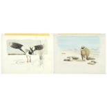 Michael J Loates 1979 - Gull's, two watercolour and gouaches on card unframed, each 35cm x 27.5cm :