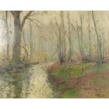 Theodor Feucht - Forest view, oil on board, inscribed verso, framed, 44cm x 35.5cm :For Further