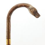 Carved dog's head handled walking stick by Brigg of London, with glass eyes and gold coloured