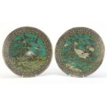 Pair of Japanese Cloisonne plates with unmarked silver rims, each finely enamelled with storks,